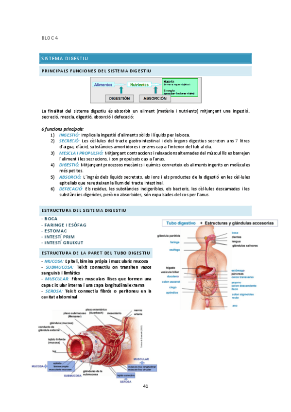 Miniatura del documento BLOC4.pdf