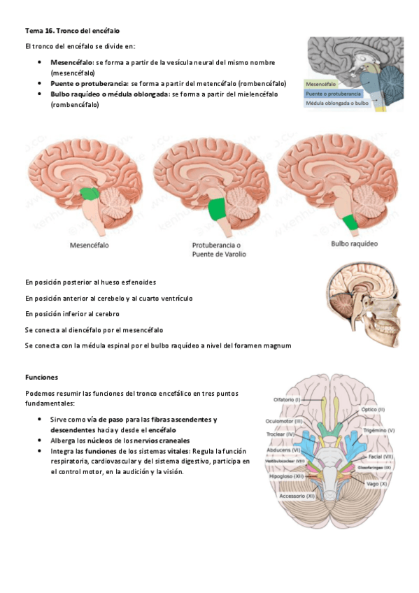 Miniatura del documento Tema-16.pdf