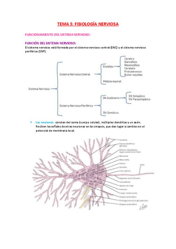 Miniatura del documento T5.pdf