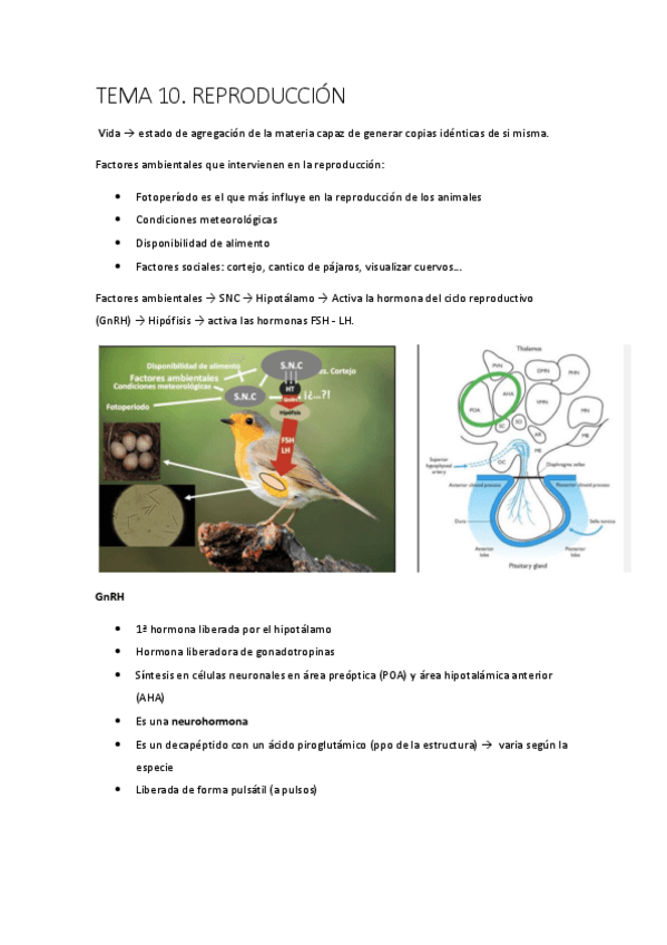 Miniatura del documento t-10-r.pdf