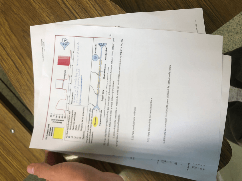 Miniatura del documento 93396BB0-7F70-4D05-8FDF-9D262FDBC62E.jpg