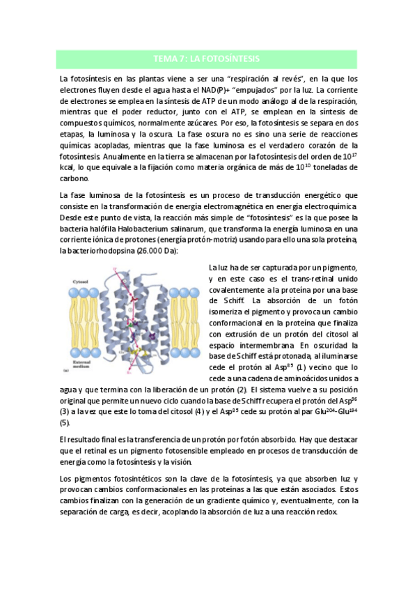 Miniatura del documento TEMA-7.pdf