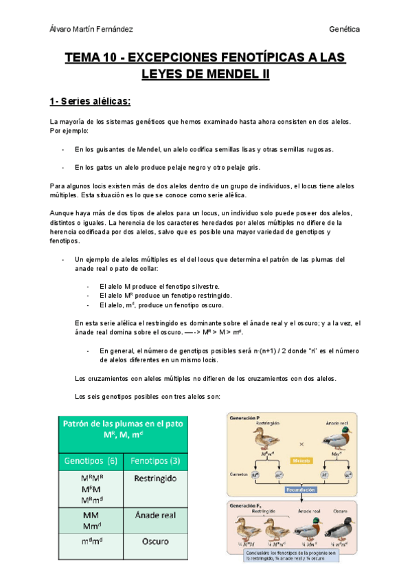Miniatura del documento TEMA-10-EXCEPCIONES-FENOTIPICAS-A-LAS-LEYES-DE-MENDEL-II.pdf