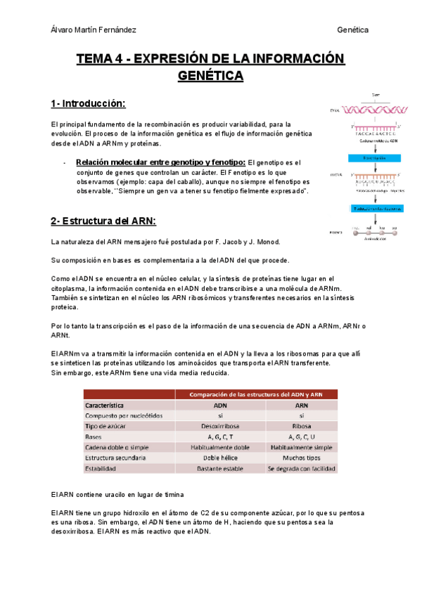 Miniatura del documento TEMA-4-EXPRESION-DE-LA-INFORMACION-GENETICA.pdf