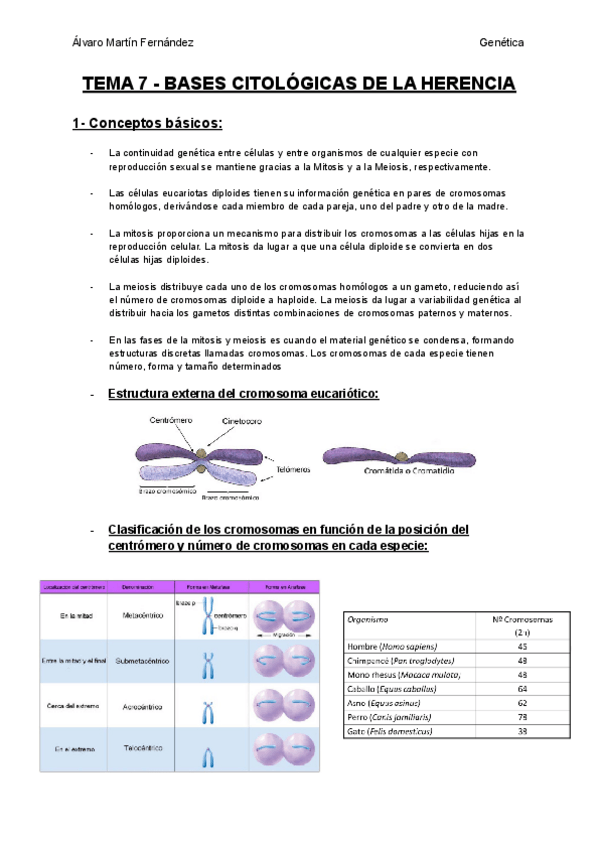 Miniatura del documento TEMA-7-BASES-CITOLOGICAS-DE-LA-HERENCIA.pdf