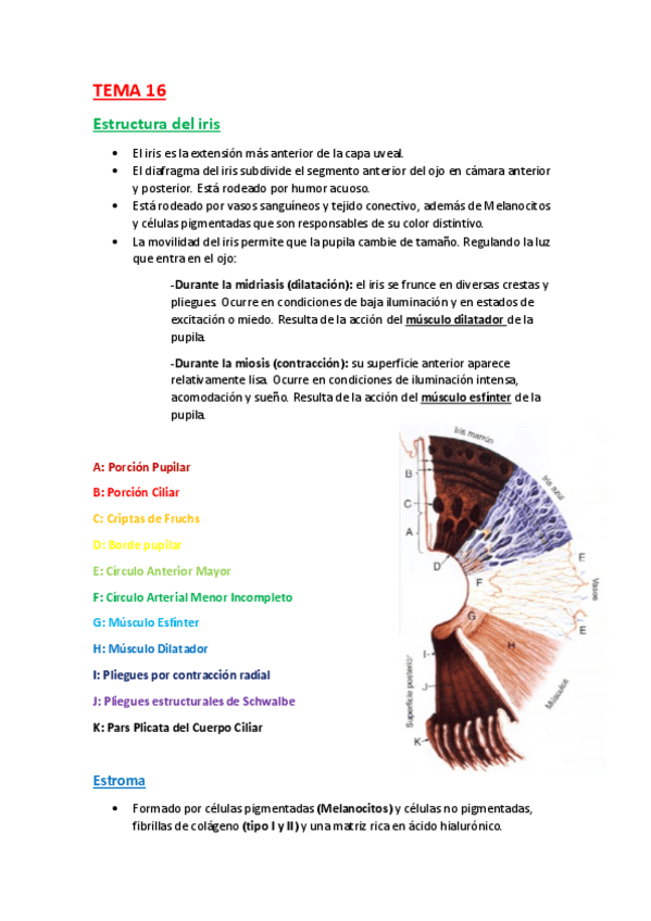 Miniatura del documento TEMA-16.pdf