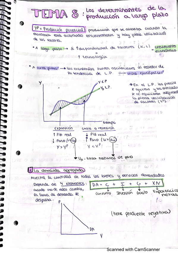 Miniatura del documento tema-8-economia.pdf