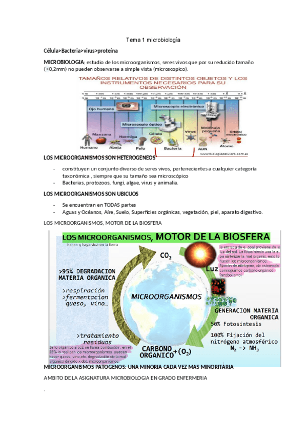 Miniatura del documento microbiologia.pdf
