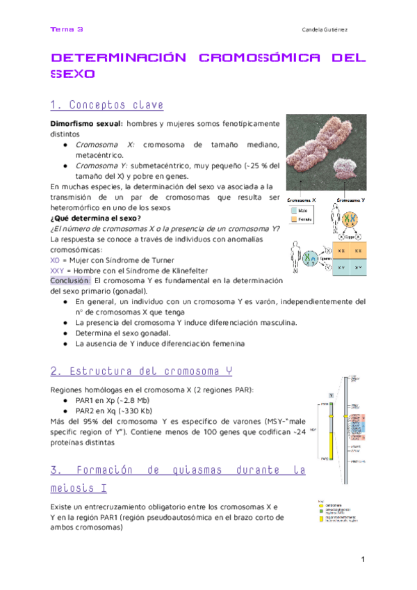 Miniatura del documento Genetica-Tema-3.pdf