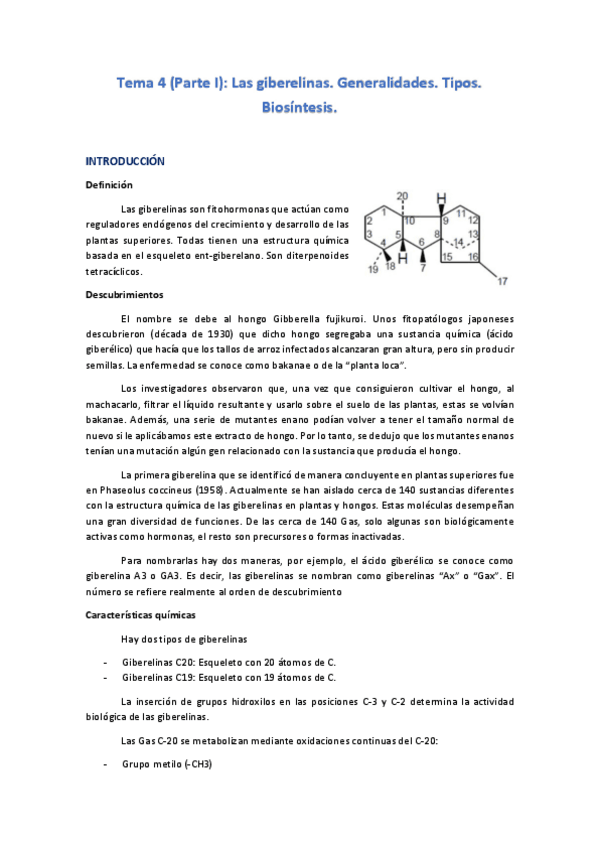 Miniatura del documento Tema-4-F-vegetal-II.pdf