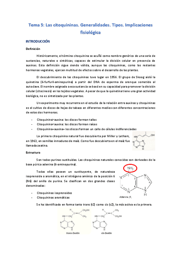 Miniatura del documento Tema-5-F-Vegetal-II.pdf