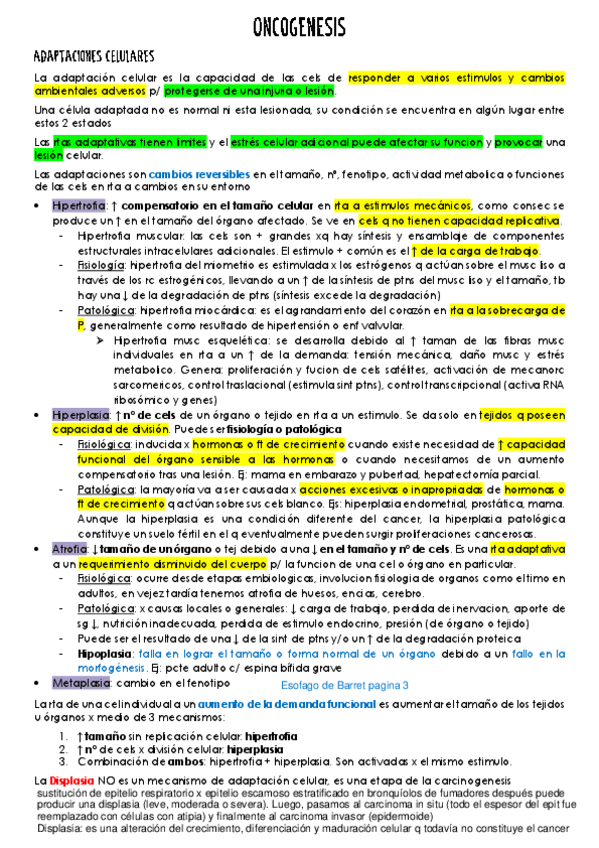 Miniatura del documento 7.pdf