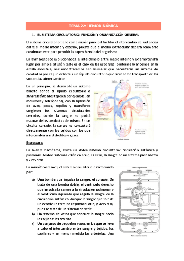 Miniatura del documento TEMA-22.pdf