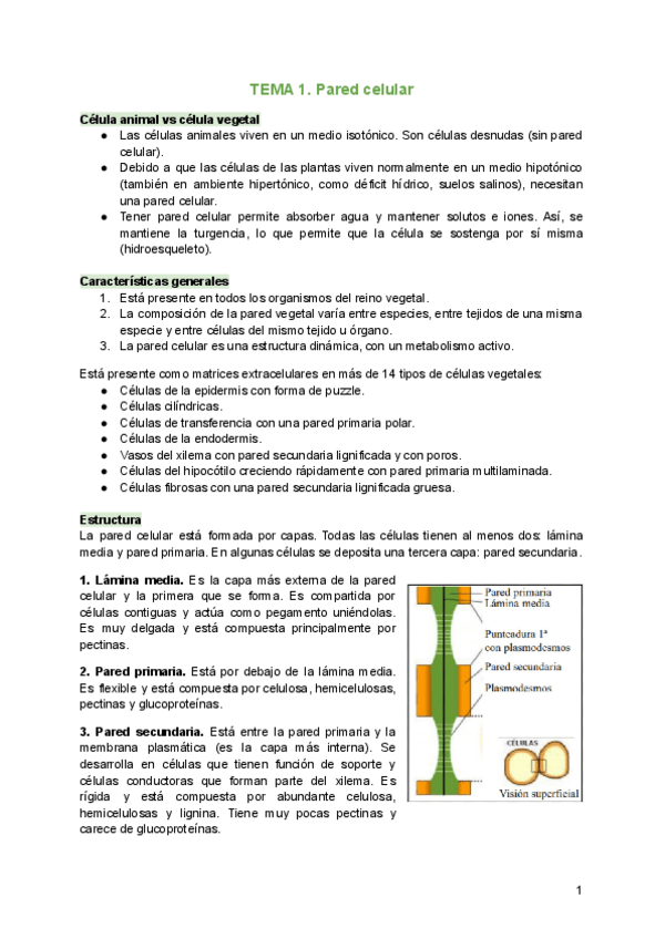 Miniatura del documento TEMA-1.pdf