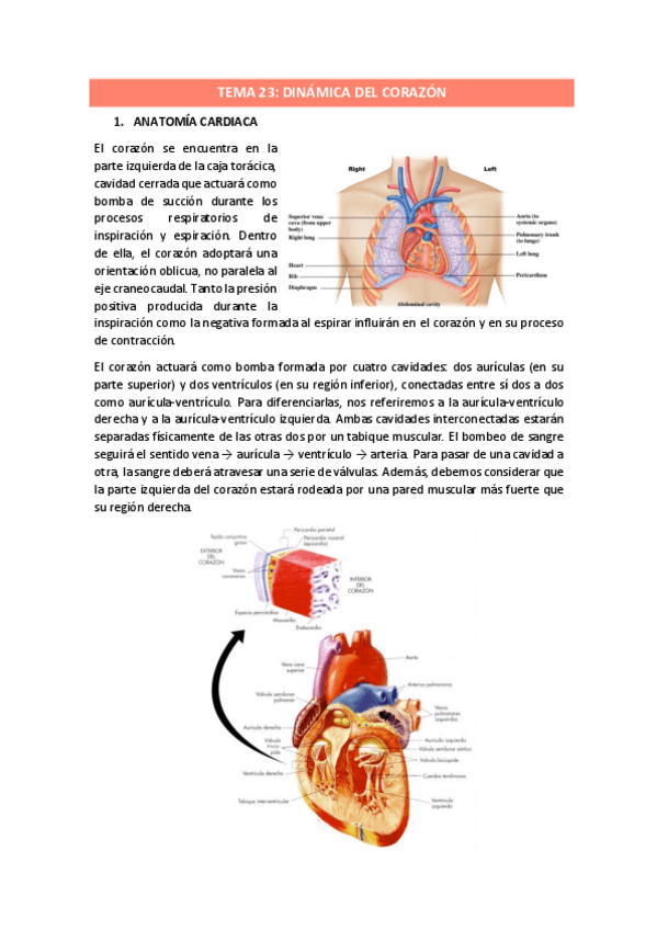 Miniatura del documento TEMA-23.pdf