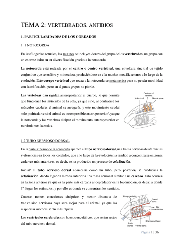 Miniatura del documento TEMA-2.pdf