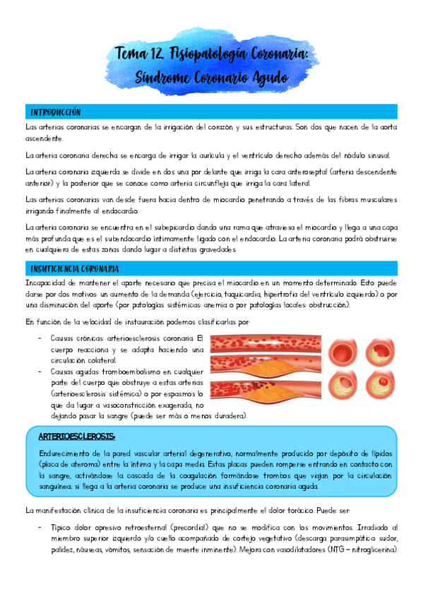 Miniatura del documento Tema-12.pdf