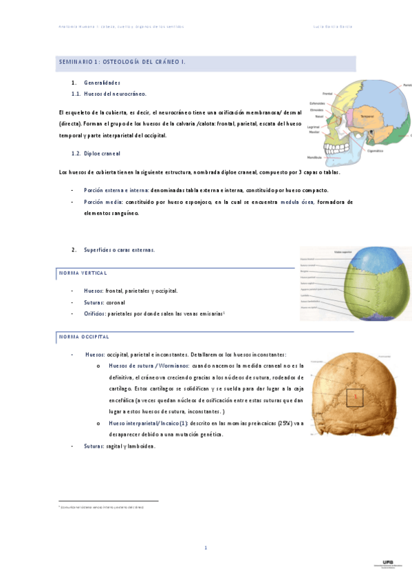 Miniatura del documento Definitivos-de-Anatomia-Humanan-osteologia.pdf