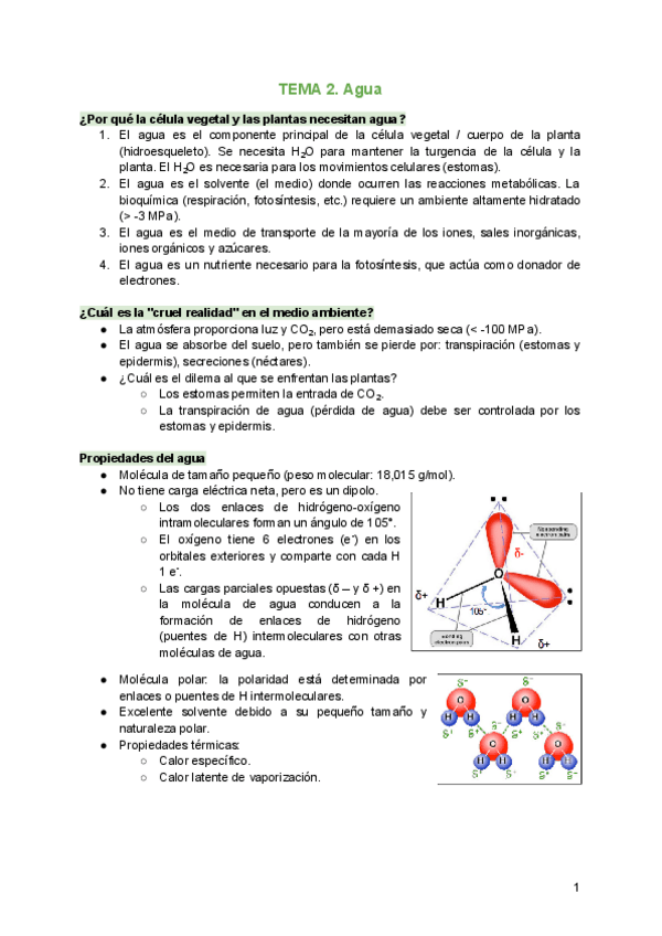Miniatura del documento TEMA-2.pdf
