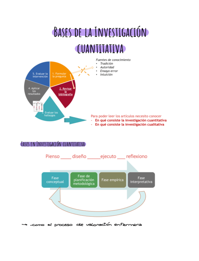 Miniatura del documento apuntes-fases-del-estudio-.pdf