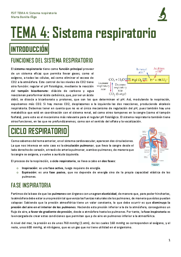 Miniatura del documento FSIT-TEMA-4-SISTEMA-RESPIRATORIO.pdf