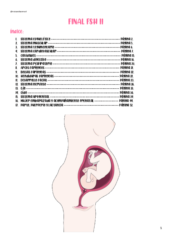 Miniatura del documento FINAL-FSH-II-2021.pdf