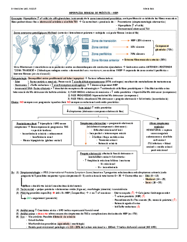 Miniatura del documento HIPERPLASIA-BENIGNA-DE-PROSTATA.pdf