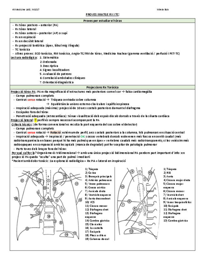 Miniatura del documento Proves-imatge-Rx-i-TC.pdf