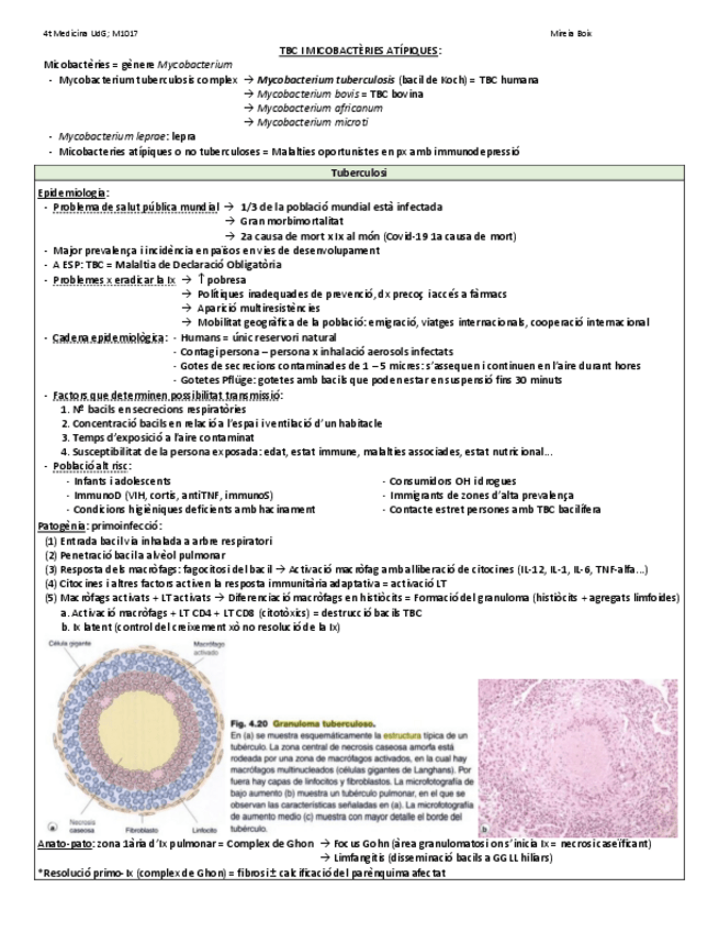 Miniatura del documento TBC-i-MICOBACTERIES-ATIPIQUES.pdf