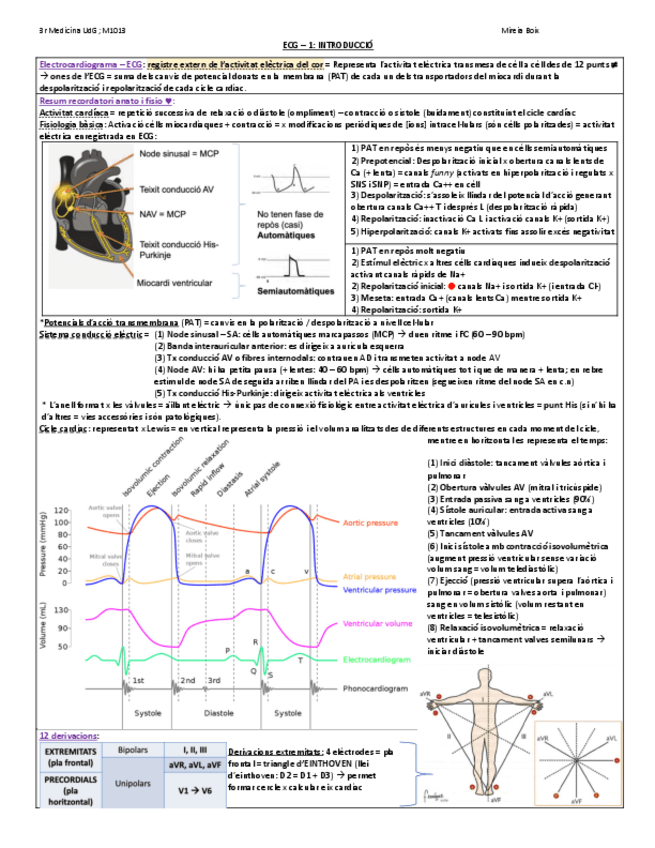 Miniatura del documento ECG-1.pdf