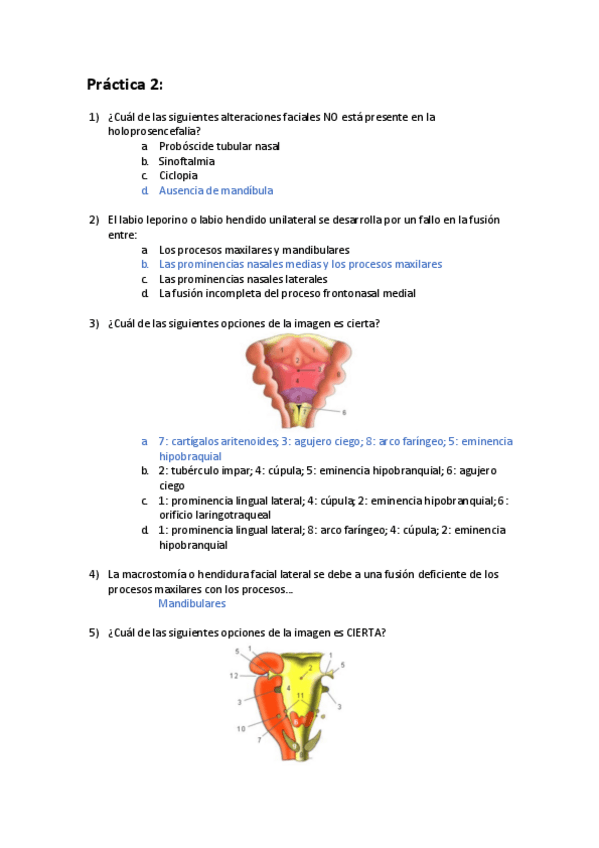 Miniatura del documento Socrative-Practica-2.pdf