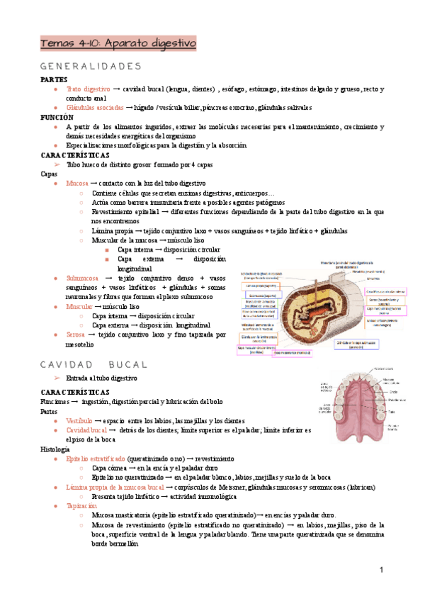 Miniatura del documento Tema-4-10.pdf