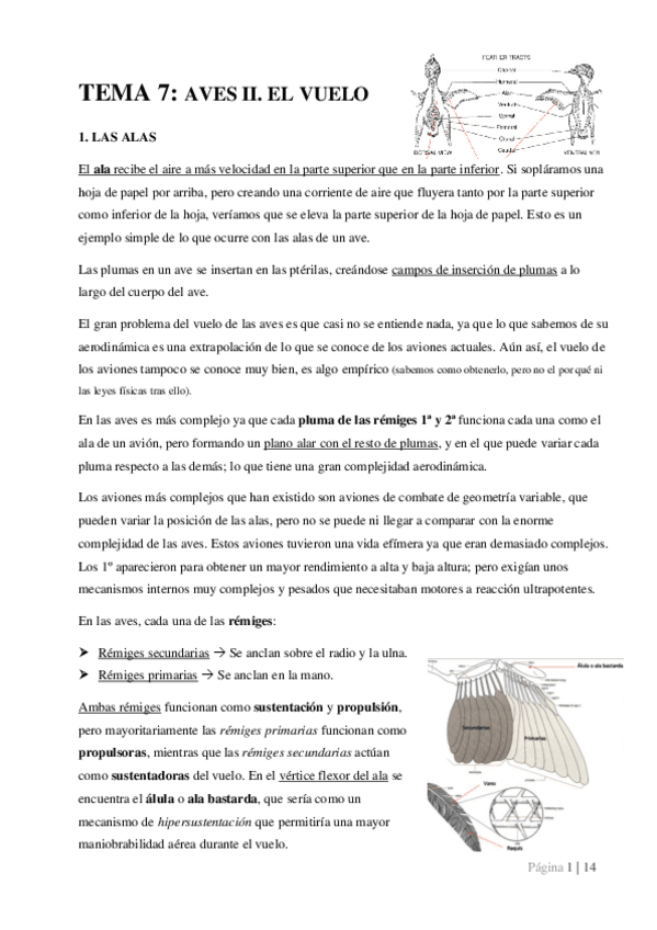 Miniatura del documento TEMA-7.pdf