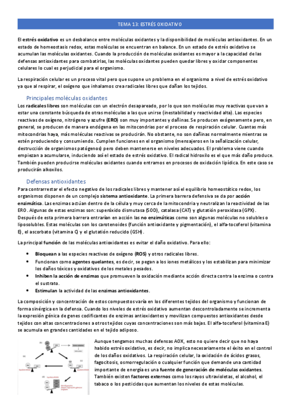 Miniatura del documento tema-13.pdf
