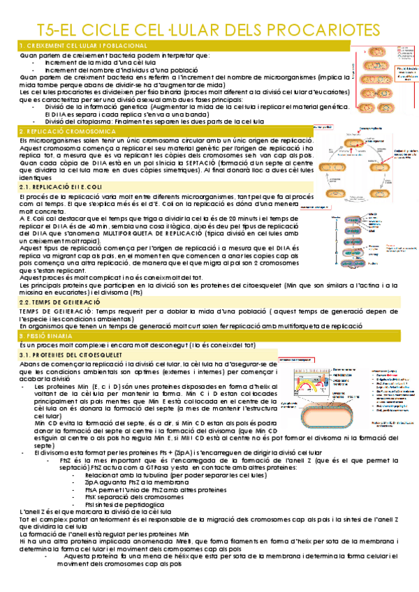 Miniatura del documento T5-EL-CICLE-CELLULAR-DELS-PROCARIOTES.pdf