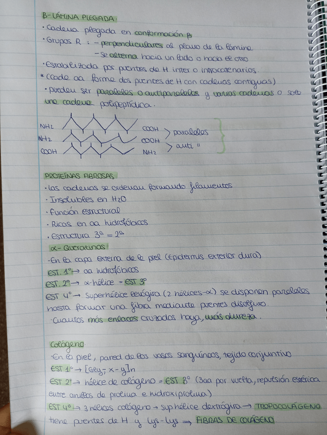 Miniatura del documento IMG20220410185616.jpg