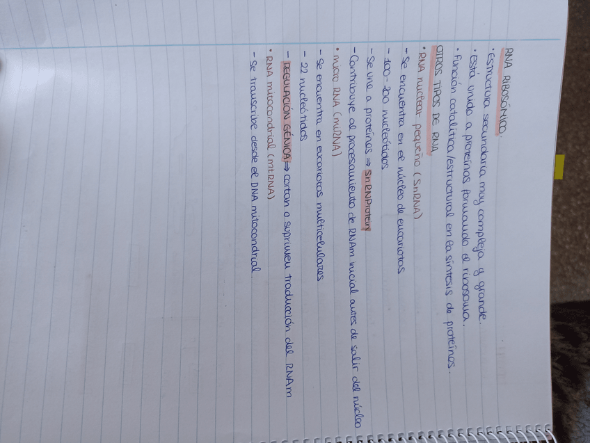 Miniatura del documento IMG20220410193240.jpg