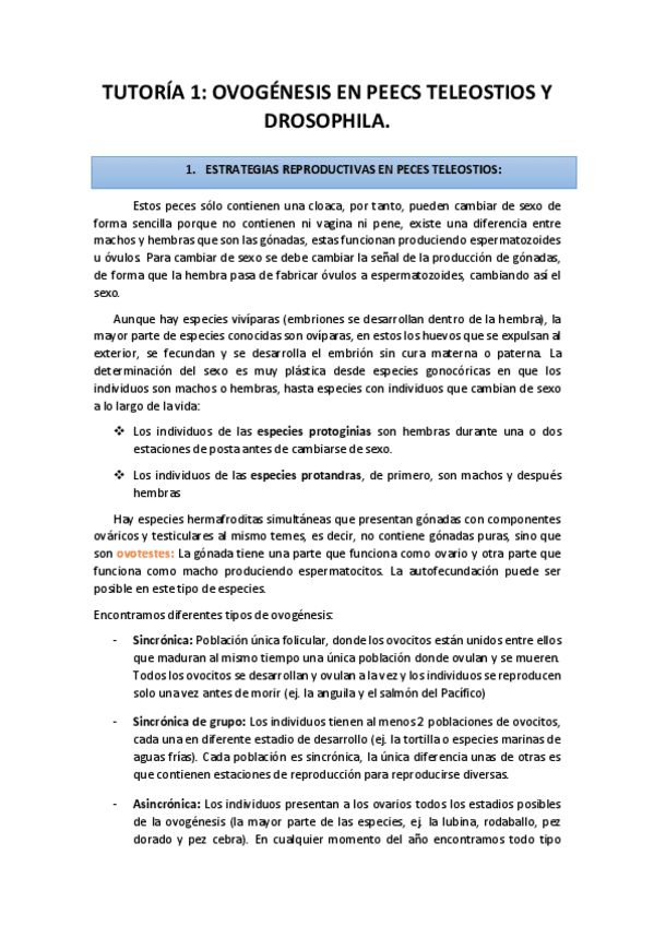 Miniatura del documento Tutorias.pdf