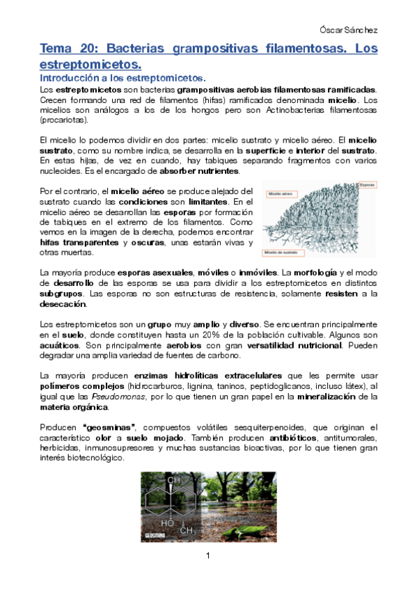 Miniatura del documento Tema-20-Micro-II.pdf