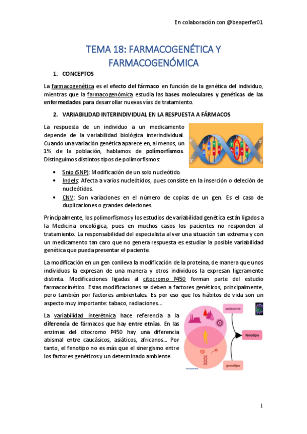 Miniatura del documento TEMA-18.pdf
