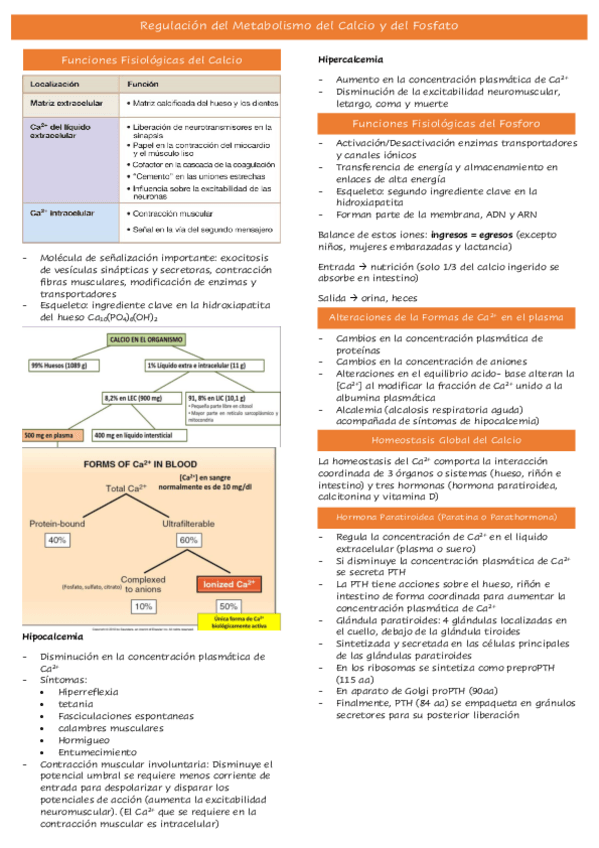 Miniatura del documento Tema-34.pdf