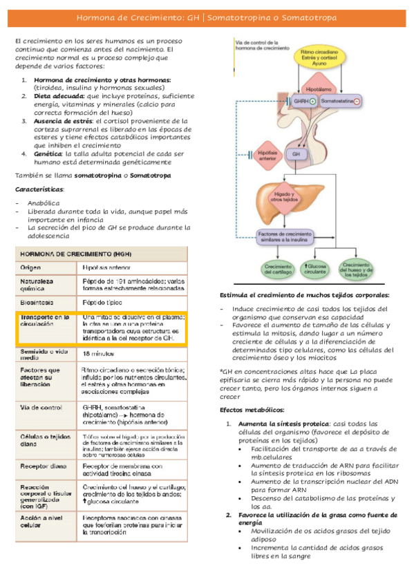 Miniatura del documento Tema-32.pdf
