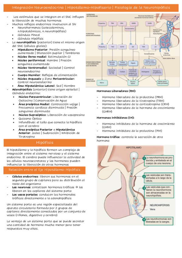 Miniatura del documento Tema-31.pdf