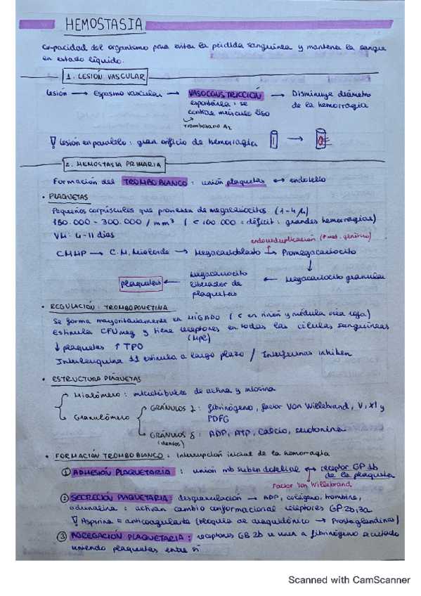 Miniatura del documento CamScanner-04-17-2022-12.pdf