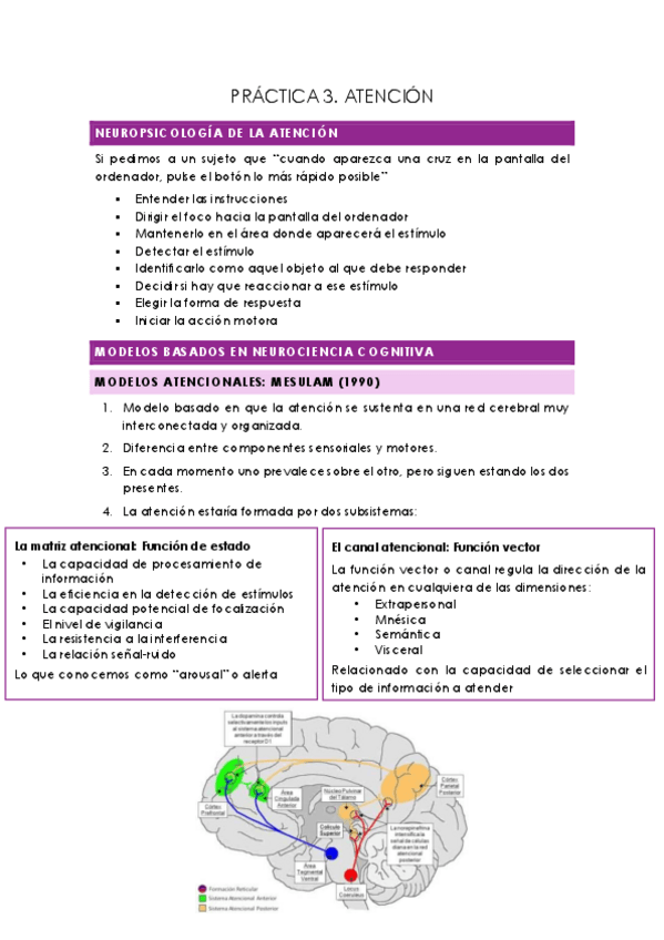 Miniatura del documento PRACTICA-3.pdf