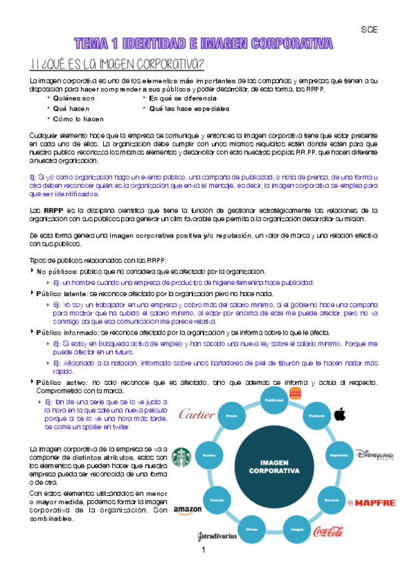 Miniatura del documento TEMA-1-SCE-imprimir.pdf
