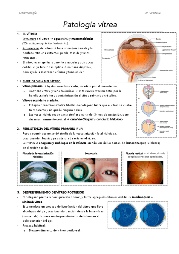 Miniatura del documento M10.pdf