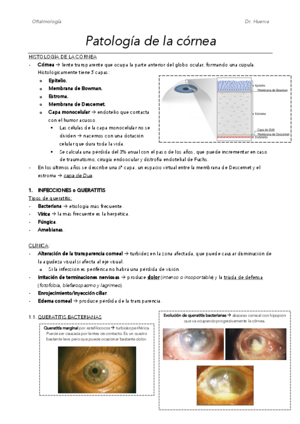 Miniatura del documento M5.pdf