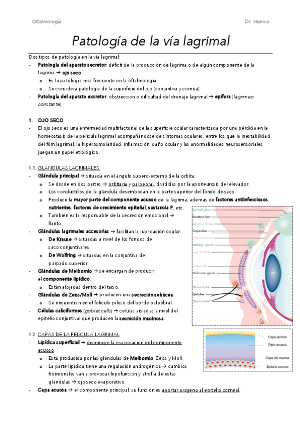 Miniatura del documento M14.pdf