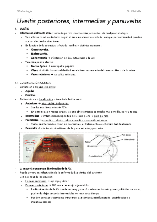 Miniatura del documento M13.pdf